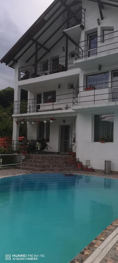 Labebe - Vidraru Hotel Arefu Buitenkant foto